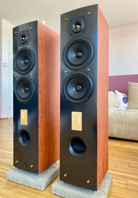 enceintes de marques Triangle type colonnes 
modle: Elios 325 Vertou (44)