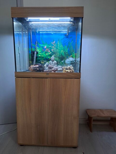 Aquarium , avec meuble Angoulême (16)