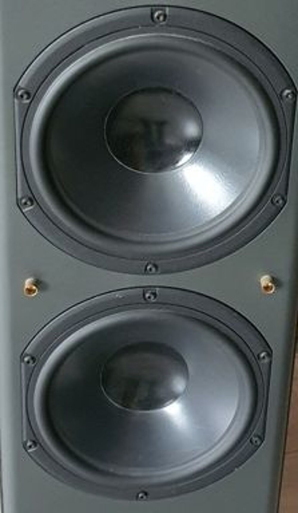 Recherche Enceintes Acoustiques ELIPSON PRESTIGE 4 (P4) Audio et hifi