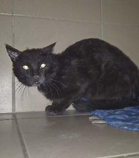 Figaro 200 26700 Pierrelatte