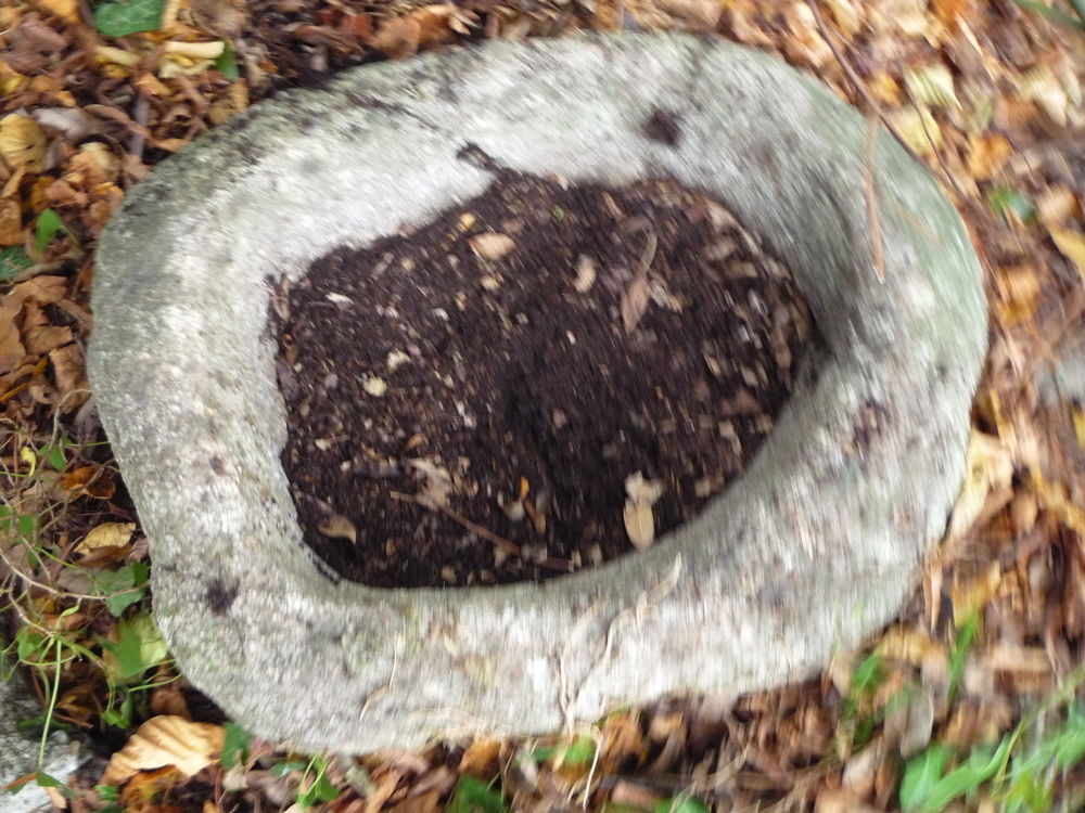 Auge en granit Jardin