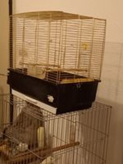   cage et volières 