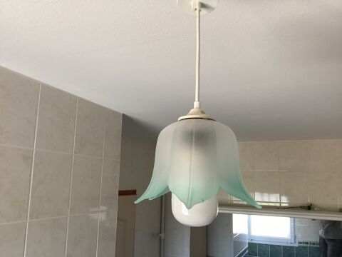 Lustre 18 Nandax (42)