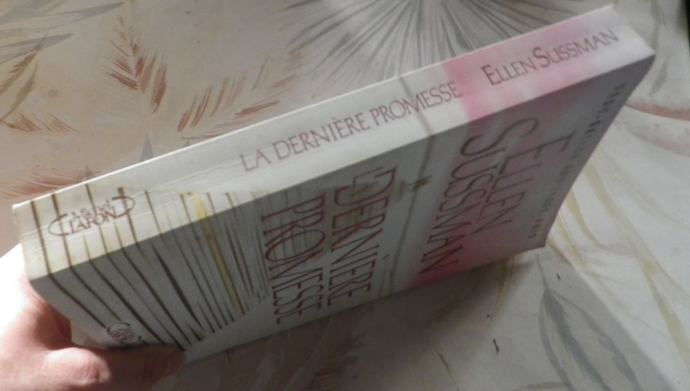 LA DERNIERE PROMESSE de Ellen SUSSMAN Ed. Michel Lafon Livres et BD