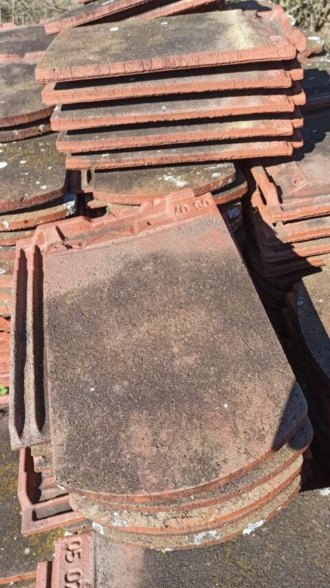 Tuiles de r�emploi ARBOISE ECAILLE Jacob Chevreuse 290 Clelles (38)