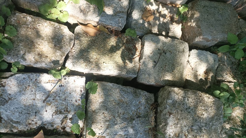 Pave pierre naturelle beige pleine masse sol jardin bricolag Jardin