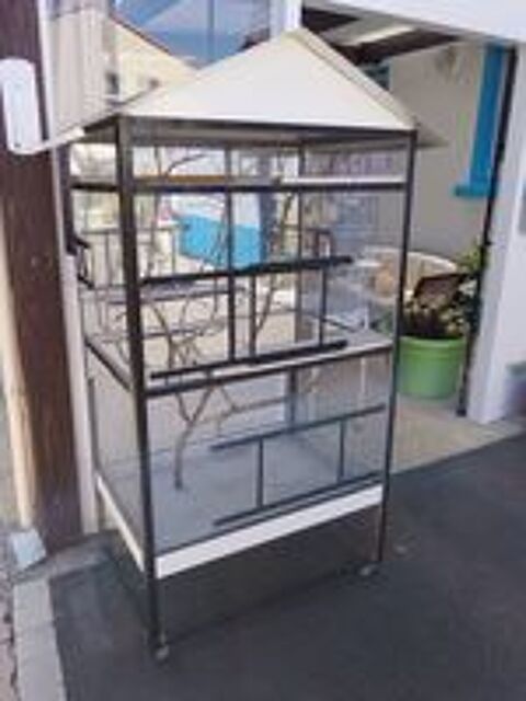   Cage  