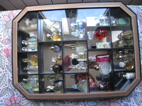Vitrine pour collectionneurs 11 Saint-Ismier (38)