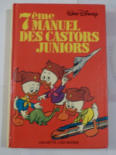 7 IEME MANUEL DES CASTORS JUNIORS  8 Brest (29)