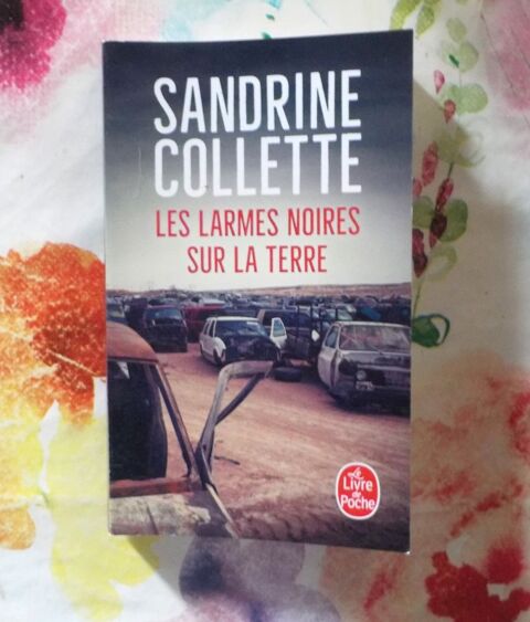 LES LARMES NOIRES SUR LA TERRE de Sandrine COLLETTE Poche 3 Bubry (56)
