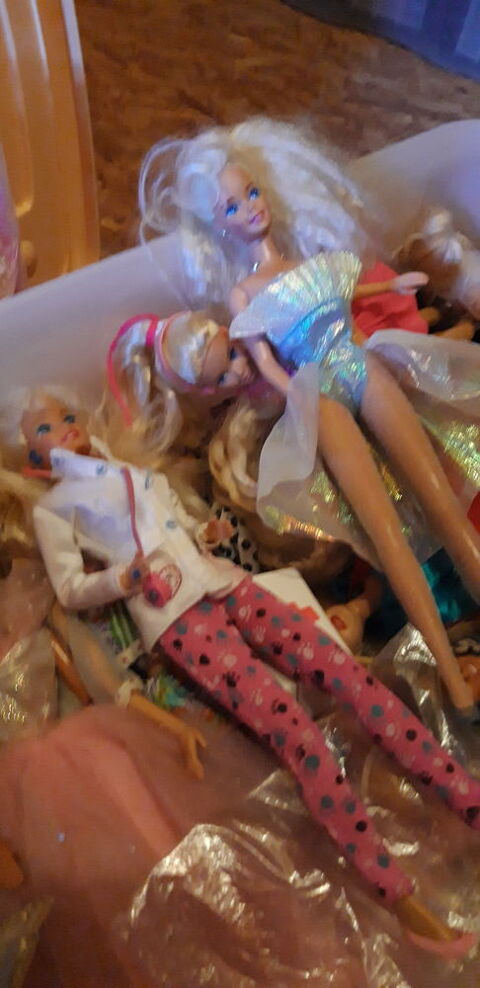 Choix de Barbies 5 Mettray (37)