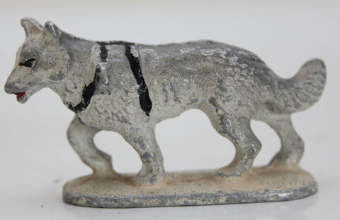 Chien de traineau QUIRALU 13 Issy-les-Moulineaux (92)