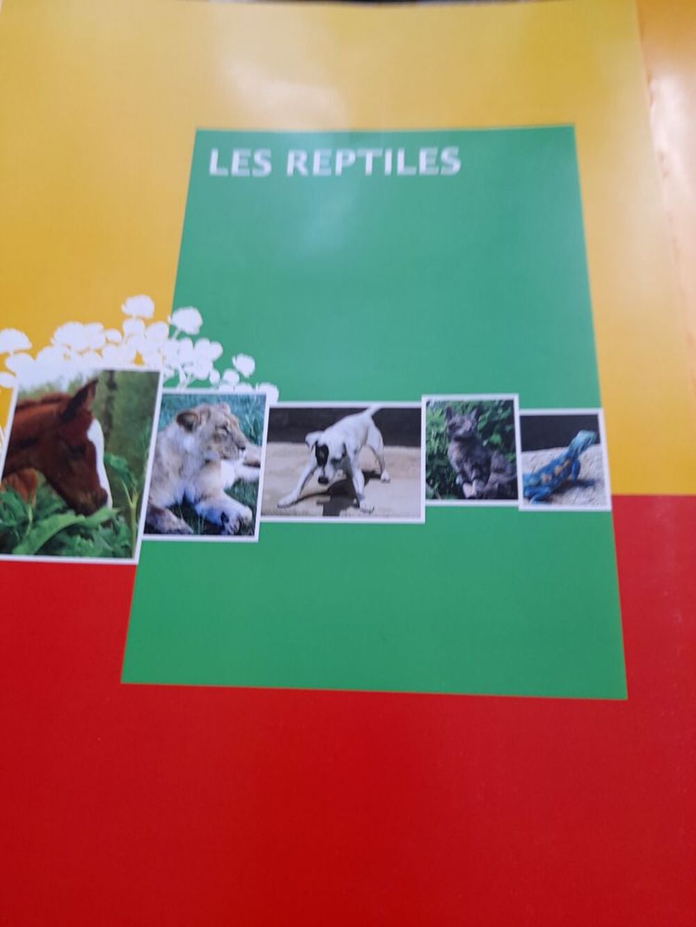 Ensemble de livres sur les animaux. Livres et BD
