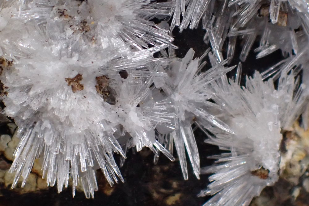 "Oursins" d'Aragonite de Gergovie Puy-de-D&ocirc;me Auvergne Franc 