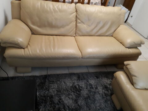 canap� cuire 0 Th�nes (74)