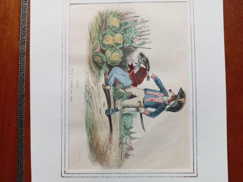65 GRAVURES DE GRANVILLE LES METAMORPHOSES DU JOUR 
