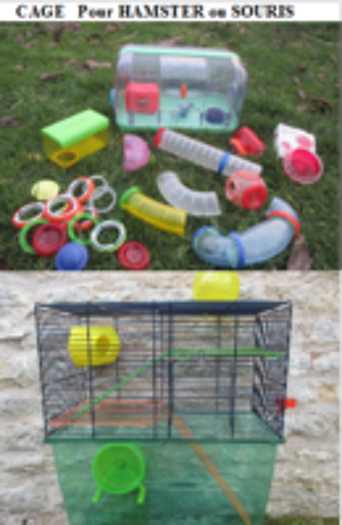   cages pour petit rongeur 