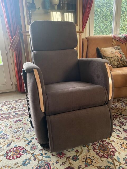 fauteuil de relaxation lectrique 150 Bois-d'Arcy (78)