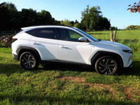 Tucson 1.6 CRDi 136 Hybrid 48V iBVM Creative 2022 occasion 19230 Arnac-Pompadour
