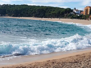  Terrain � vendre 525 m� Toulouse