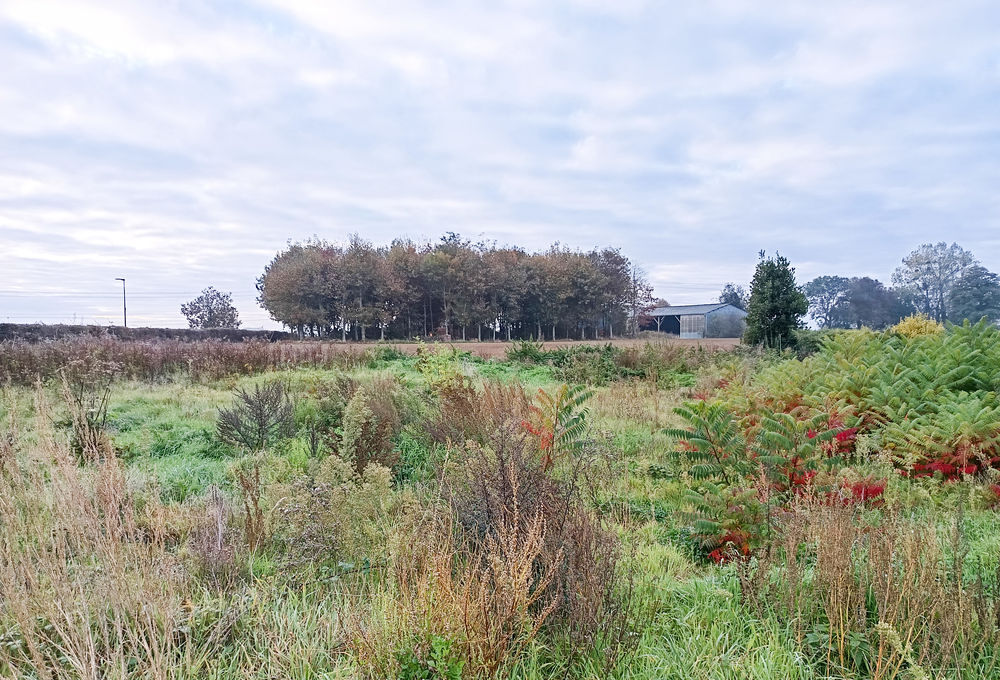 Vente Terrain PROXIMITE CENTRALE PENLY, BEAU TERRAIN A BATIR DE 812 m2 VIABILISE Biville-sur-mer