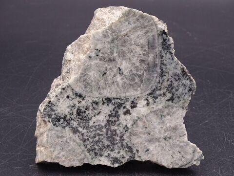 Diorite orbiculaire (Corsite Napol�onite) Sainte-Lucie-de-Ta 34 Bertrichamps (54)