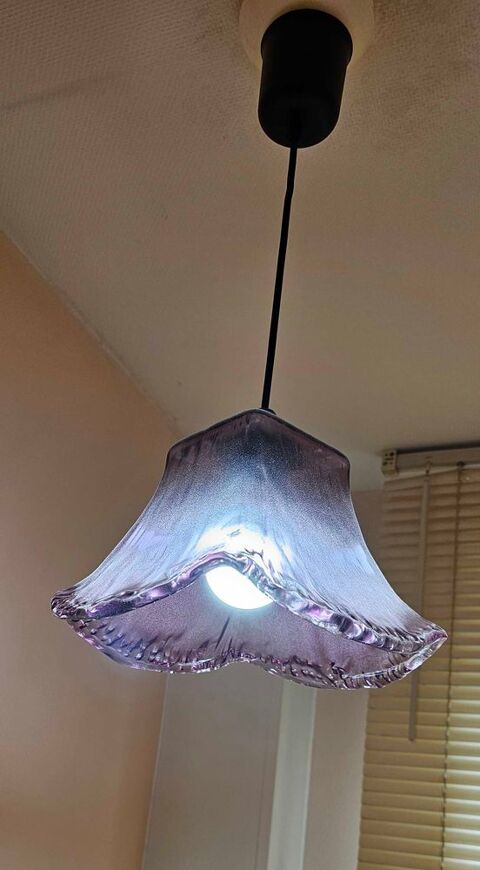 lampe suspension violette 10 Morhange (57)