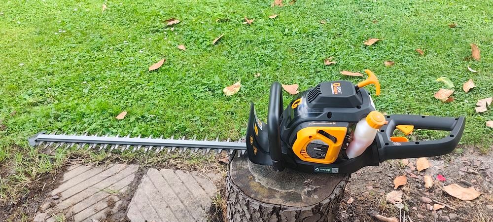 Taille haie thermique Jardin