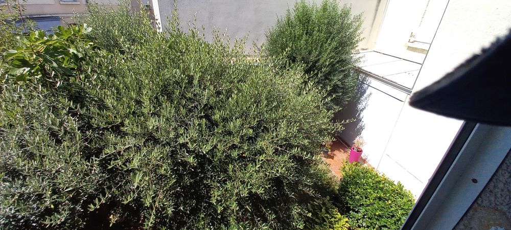 Location Autre Chambre  pour ETUDIANT(E) Reims