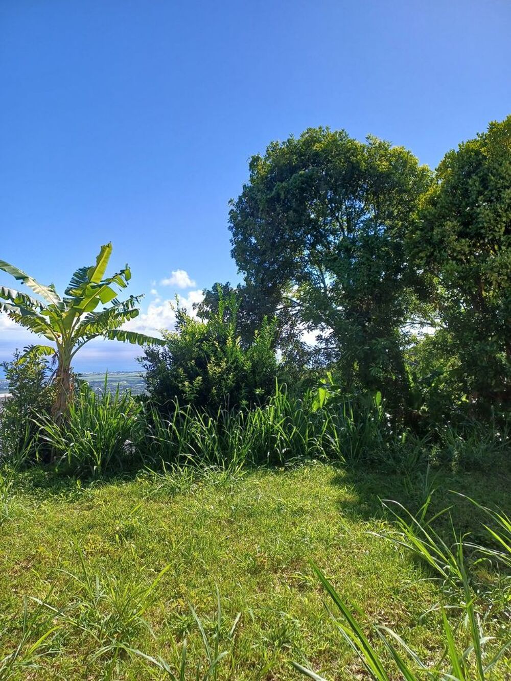 Vente Maison ORPI SAINTE MARIE - Maison avec vue mer sur terrain de 1 301 m² Sainte-marie