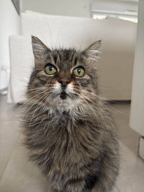 Evou 180 44000 Nantes