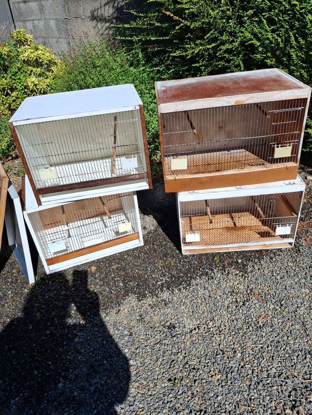   Cage de reproduction  