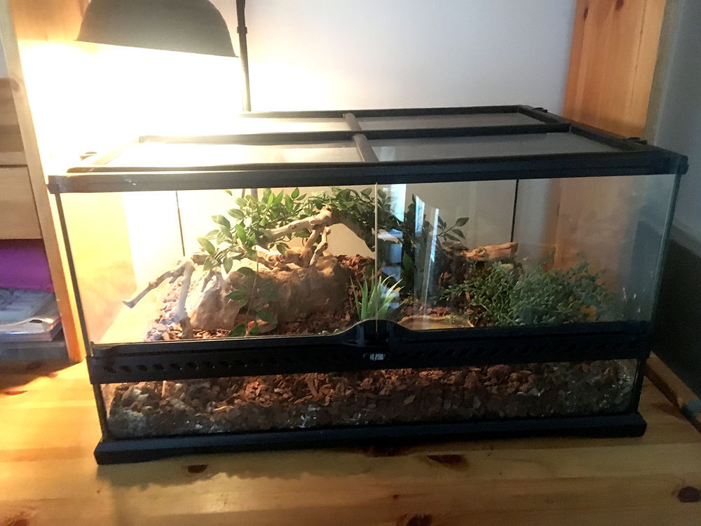 Terrarium &eacute;quip&eacute; pour serpents des bl&eacute;s Meubles