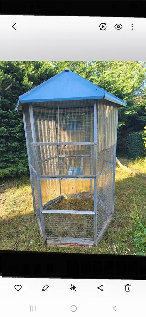 Voli&egrave;re exterieure  300 77240 Vert-saint-denis