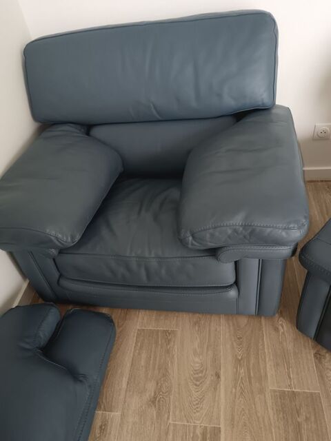Fauteuils cuir taureau 350 Beaune (21)