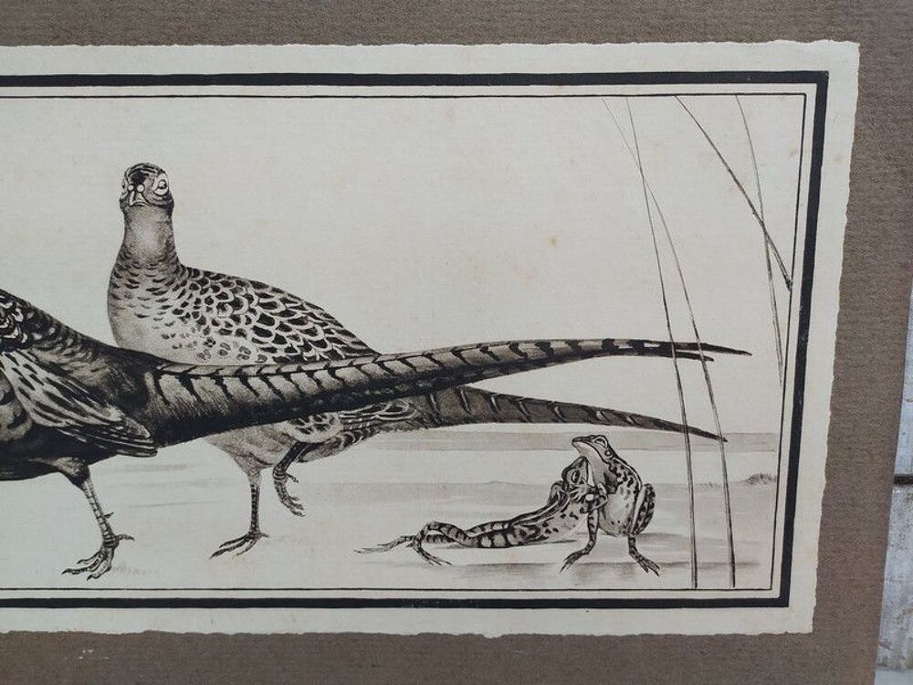 Paul MARCUEYZ Lithographie Faisans et Grenouilles Chasse
