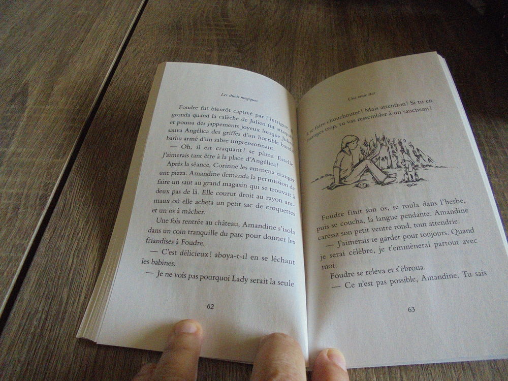Les chiots magiques (101) Livres et BD