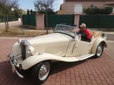   occasion 66440 Torreilles