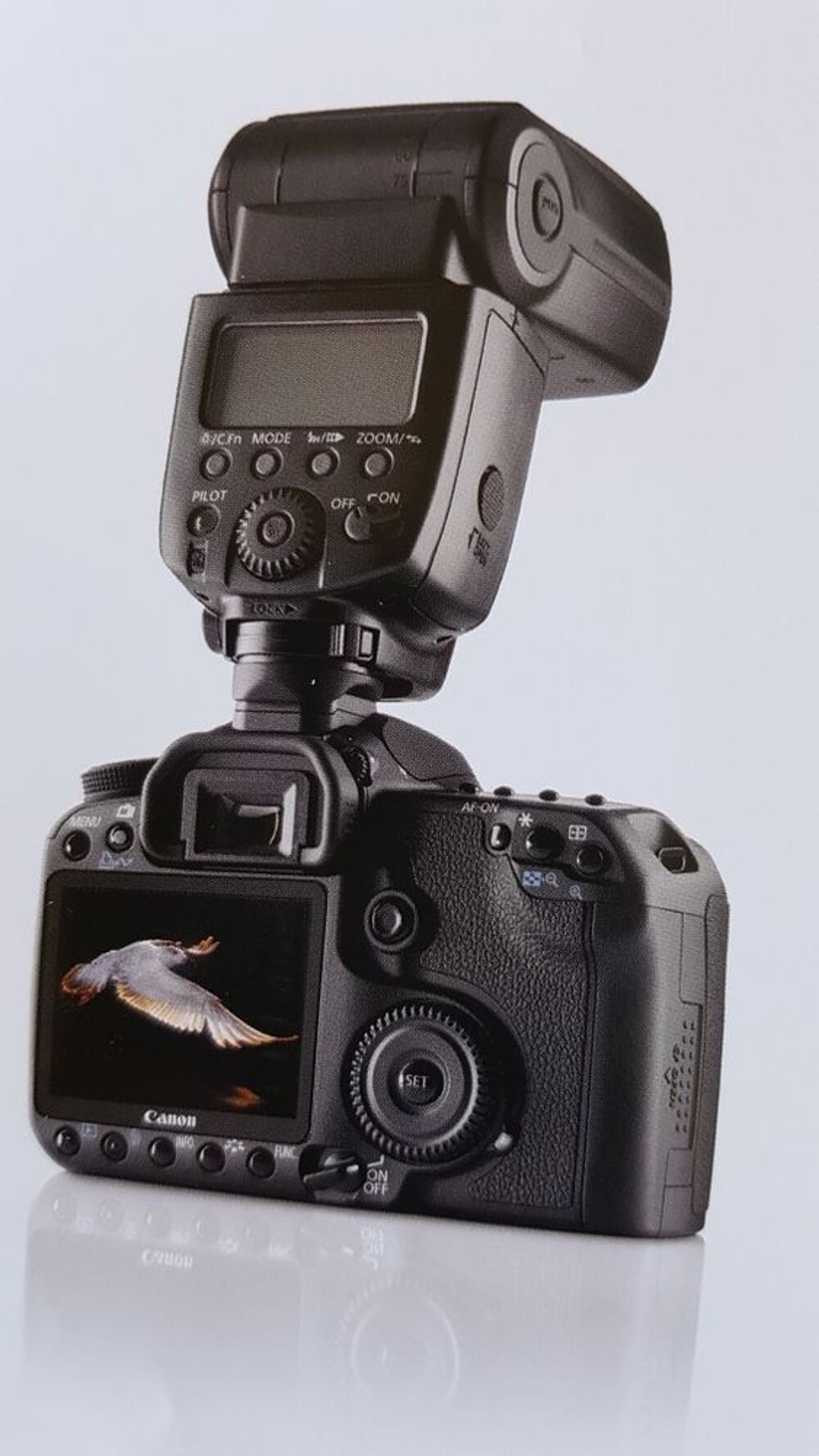 CANON EOS 5 MARK II Photos/Video/TV
