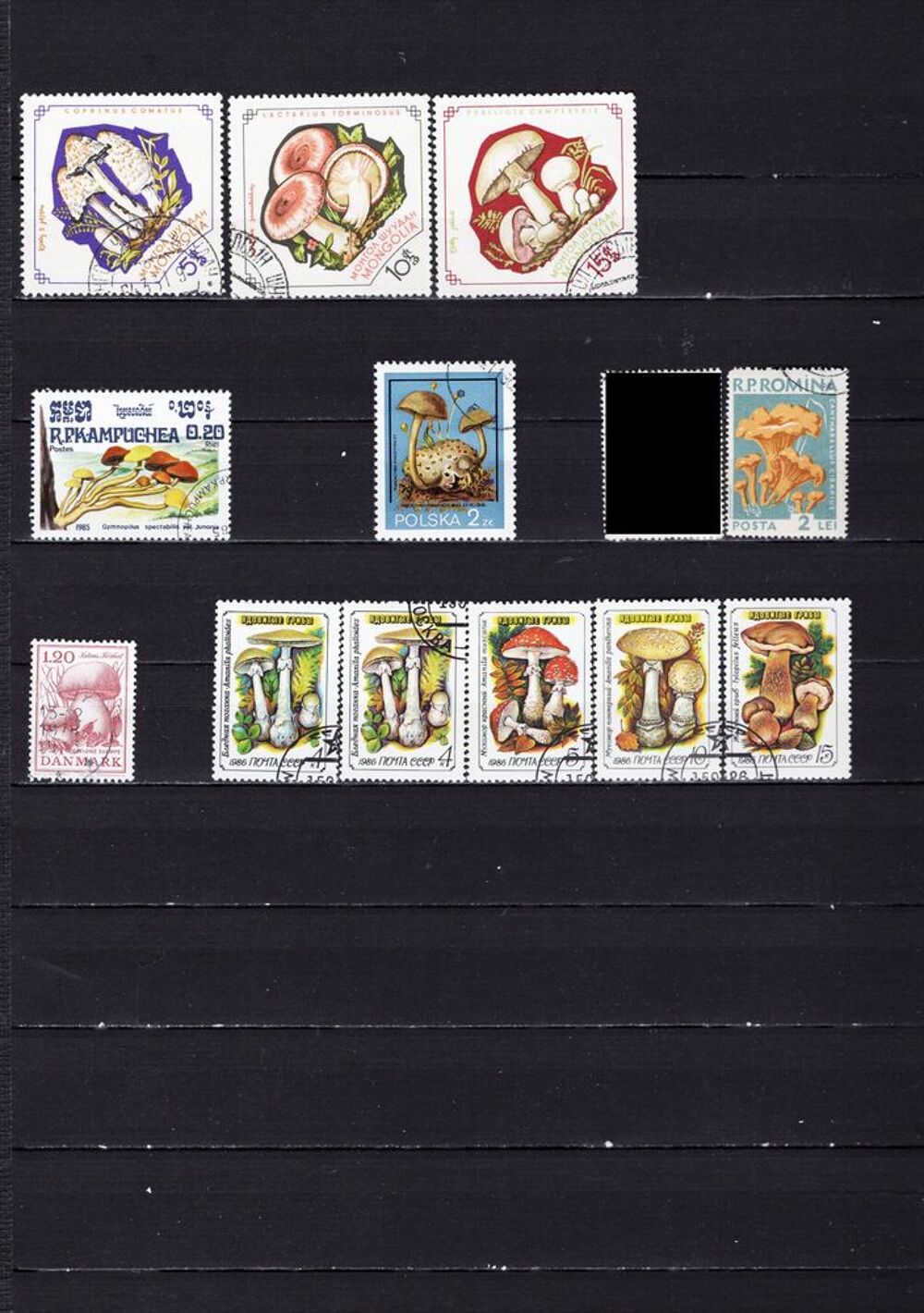 lot de 30 timbres de MONDE avec des CHAMPIGNONS 