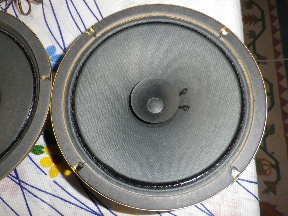 PAIRE DE H P BOUMER EN BICONE Audio et hifi