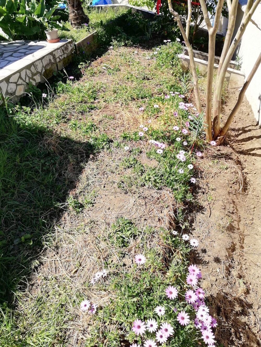 Terre V&eacute;g&eacute;tale Jardin