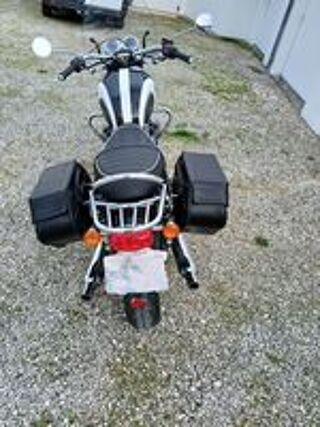 TRIUMPH 2017 occasion 17000 La Rochelle