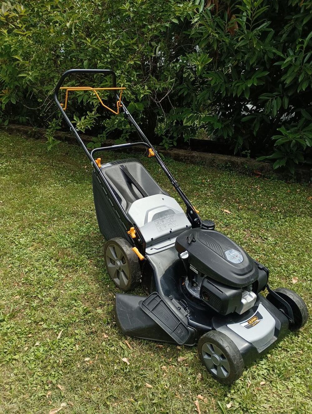 Tondeuse &agrave; gazon Autotract&eacute;e . ALPINA . Jardin
