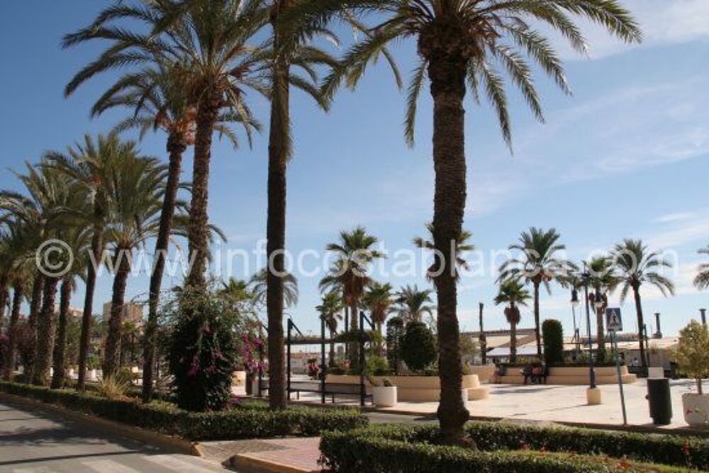   APPARTEMENT 3CH, 2sdb, PISCINE, PLAGE 350M Espagne, Alicante