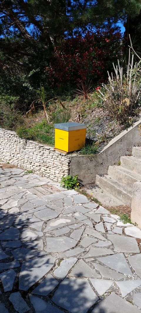 5 ruches colores  120 Saint-Marcel-ls-Sauzet (26)