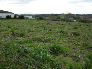  Terrain � vendre 1500 m�