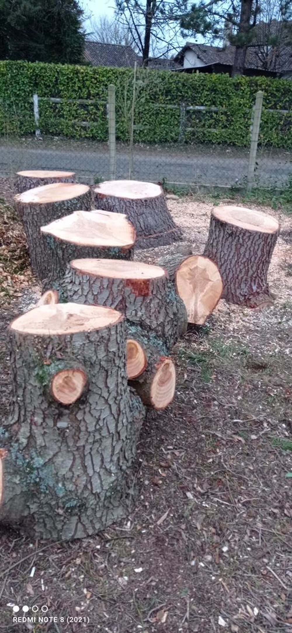 9 gros rondins de c&egrave;dre hauteur: 60 cm X 50 environ Jardin