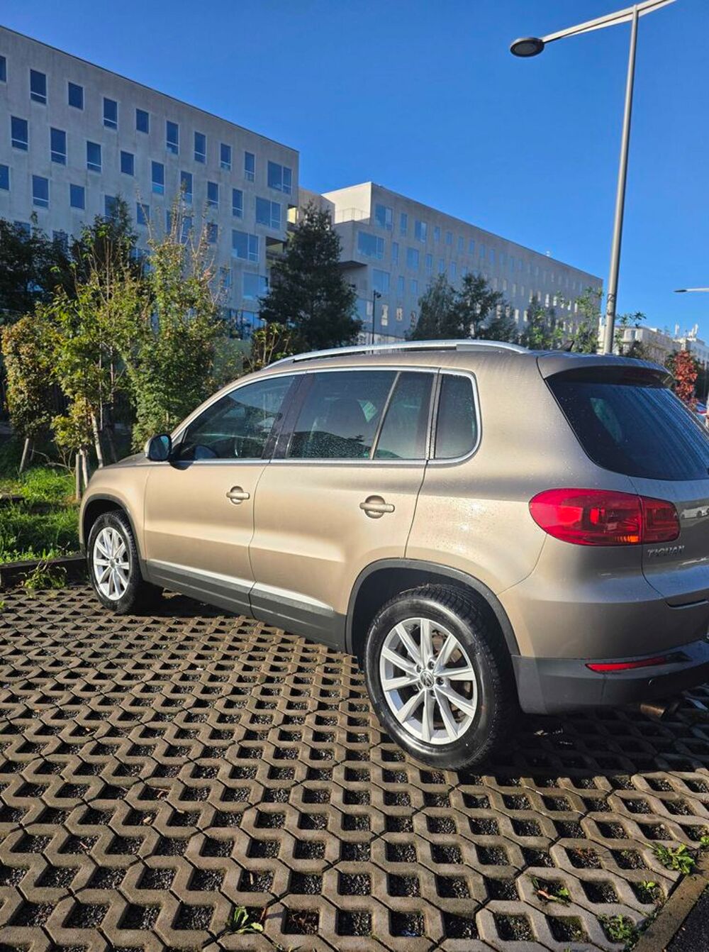 Tiguan 1.4 TSI 150 Bluemotion Technology 2012 occasion 77420 Champs-sur-Marne