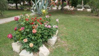  Propri�t�/ch�teau � vendre 15 + pi�ces 425 m�